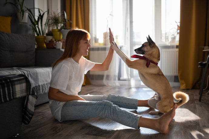 Exercising Your Pup at Home