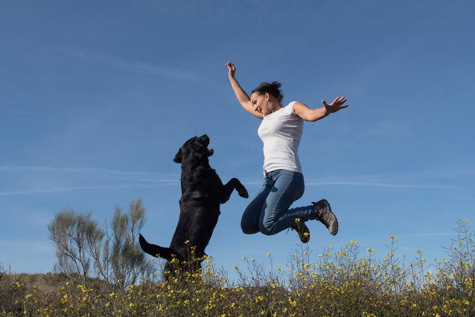 Valuable Tips and Tricks for Hiking with Your Dog