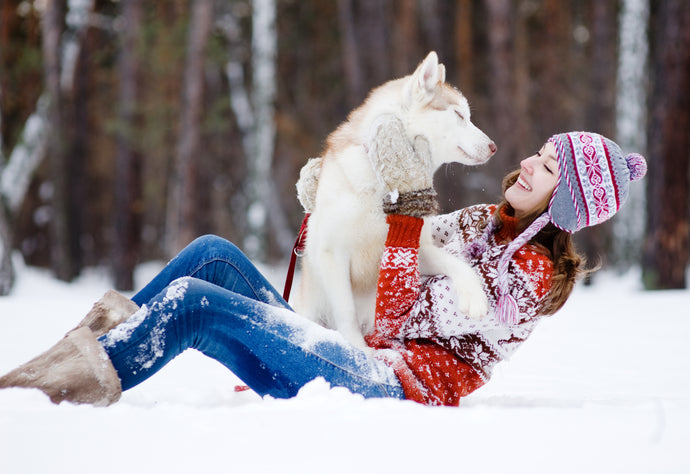 Keeping Your Pup Healthy in the Cold