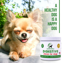 Load image into Gallery viewer, Digestive Supplement Soft Chews