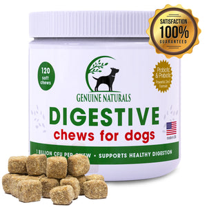 Digestive Supplement Soft Chews